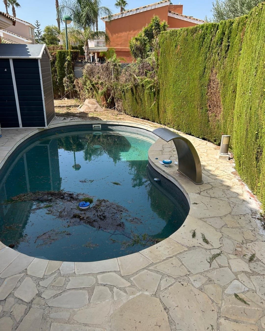 Seto denso e intacto junto a la piscina, antes de la retirada, en La Vall de Llíria